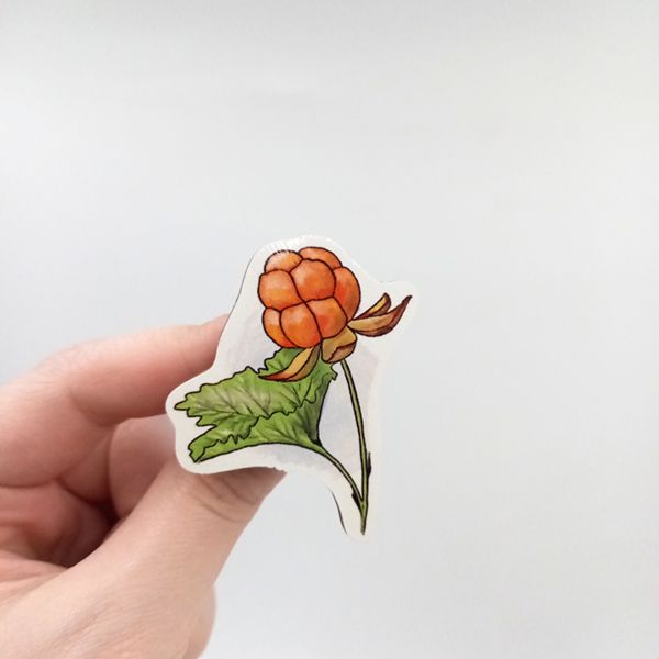 Значок "Ози"