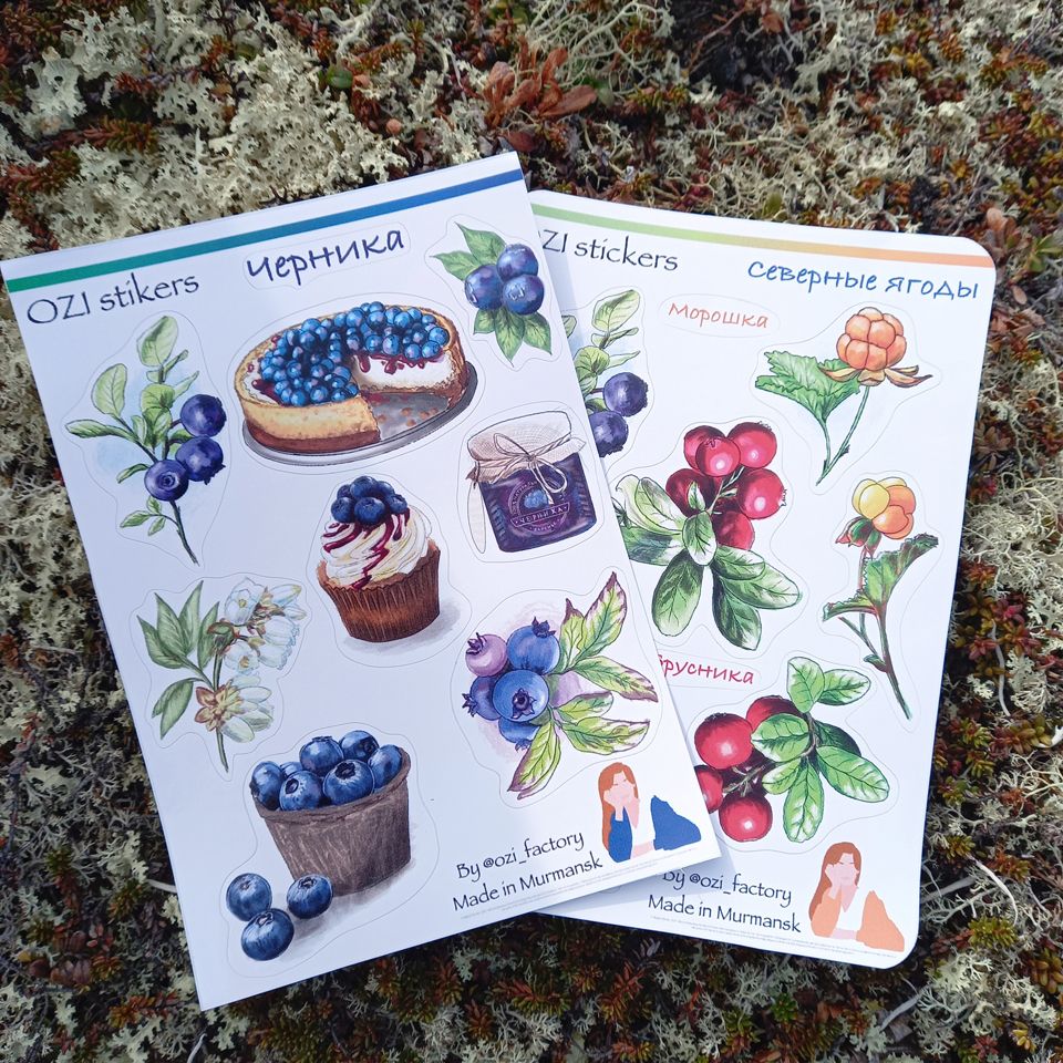 Набор наклеек