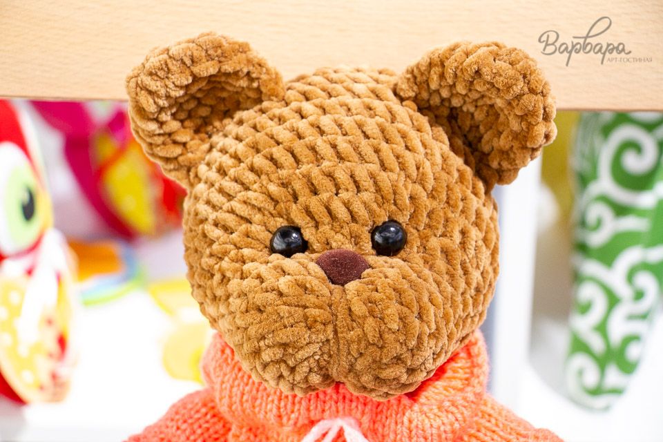 Медведь в одежде