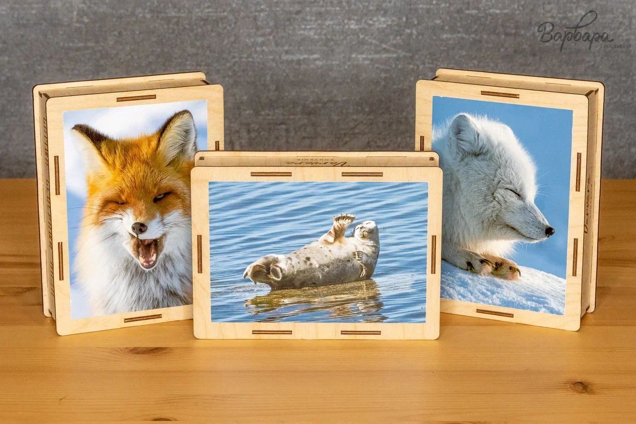 Северный пазл "Варвара" А4