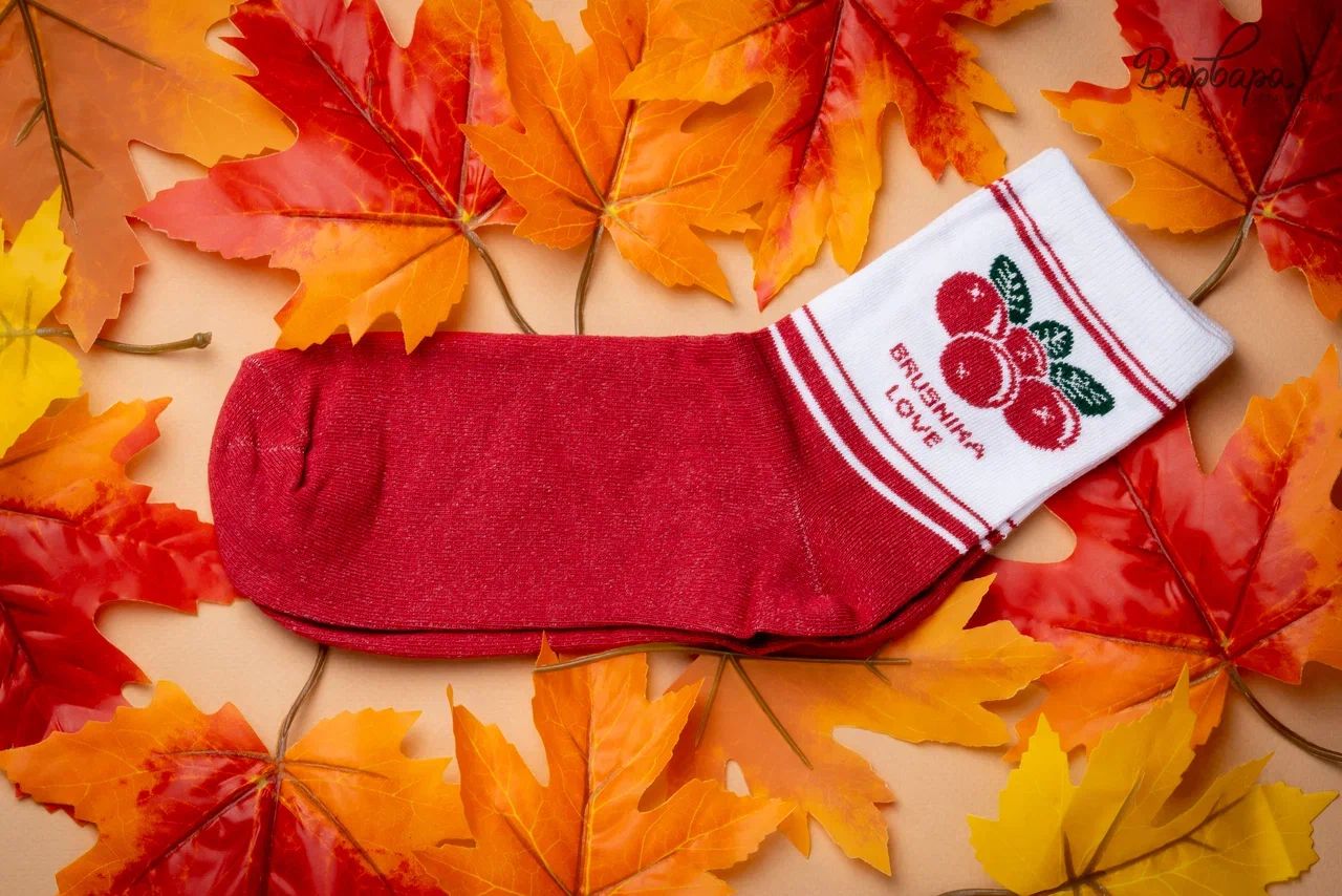 Носки унисекс "Varvara Sever" хлопок