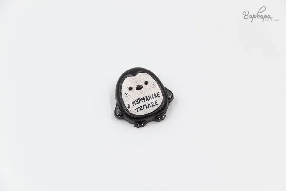 Брошь"Териберка Лайф"