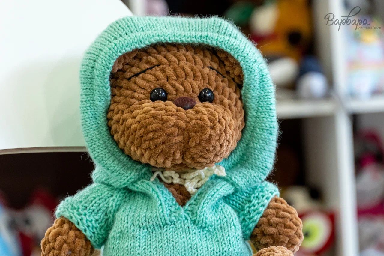 Медведь в одежде