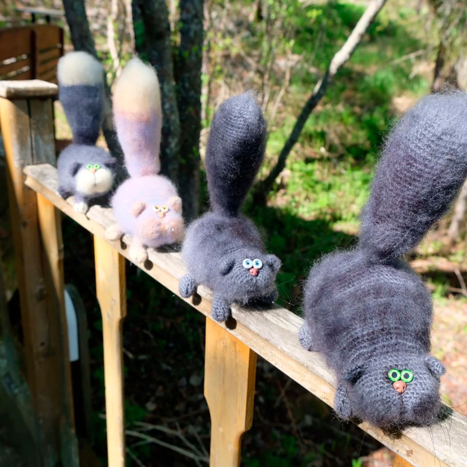 Котёнок "Швондер", Средний