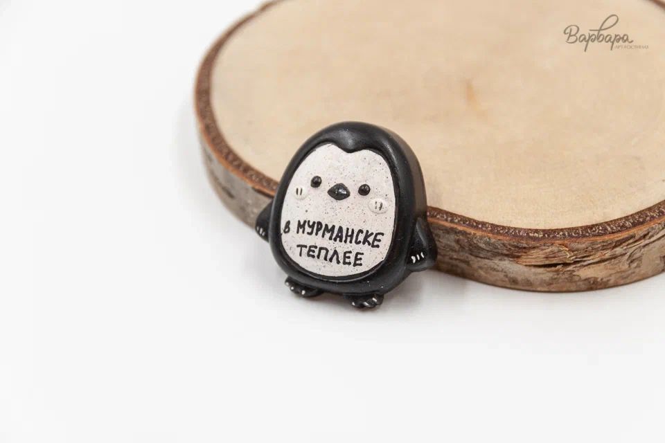 Брошь"Териберка Лайф"