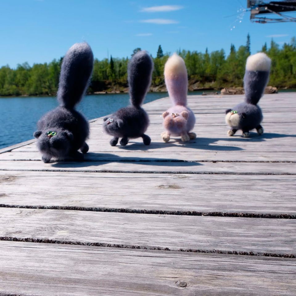 Котёнок "Швондер", Средний