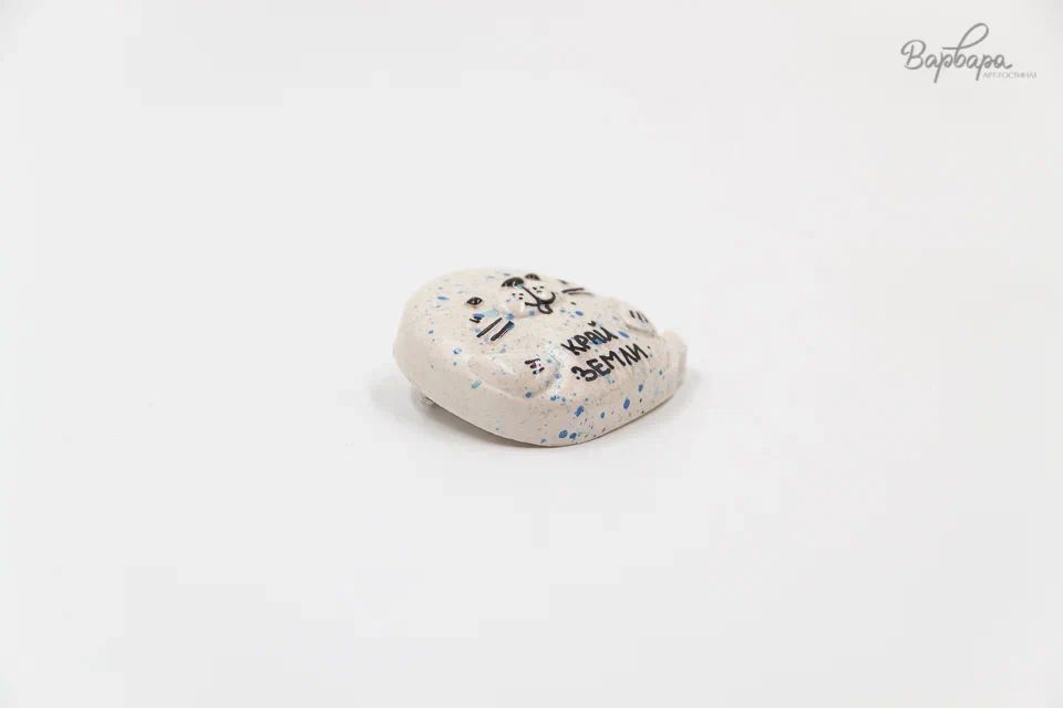 Брошь"Териберка Лайф"