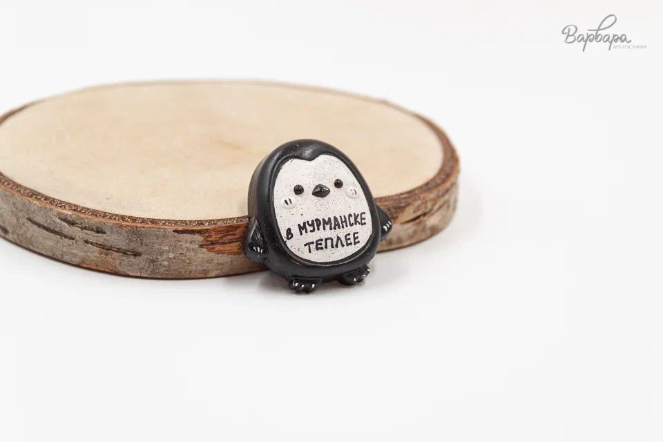 Брошь"Териберка Лайф"