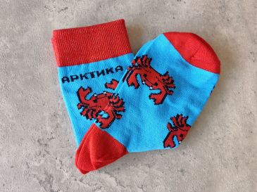 Носки унисекс "Varvara Sever" хлопок