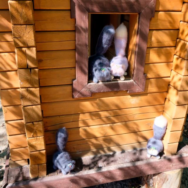 Котёнок "Швондер", Средний